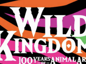 Wild Kingdom 100 Years of Animal Art